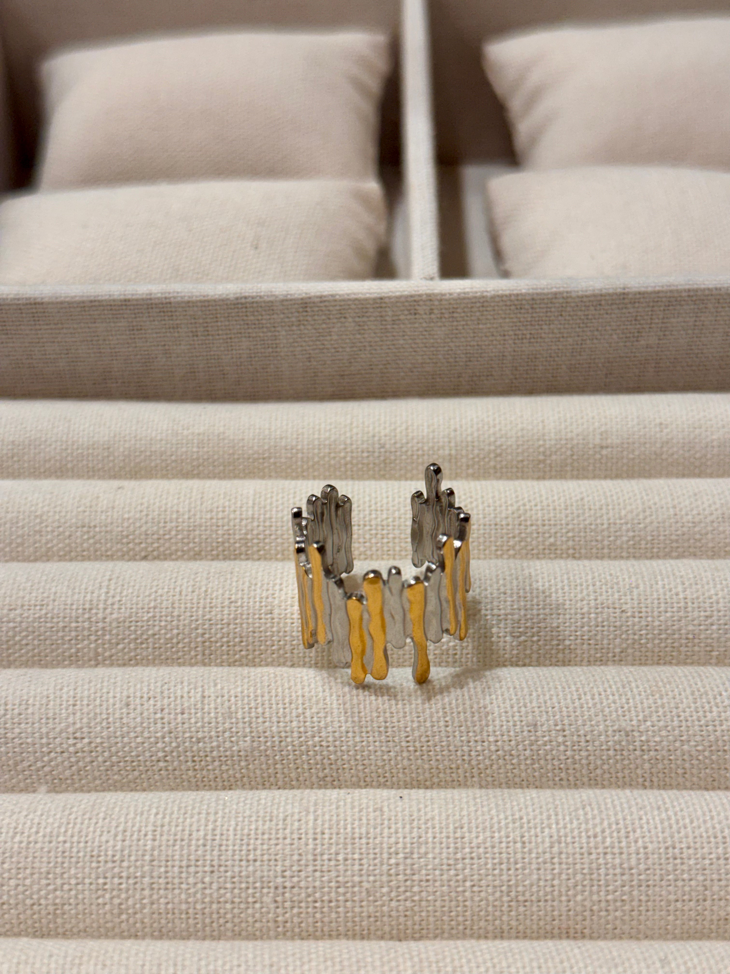 Anillo Vela