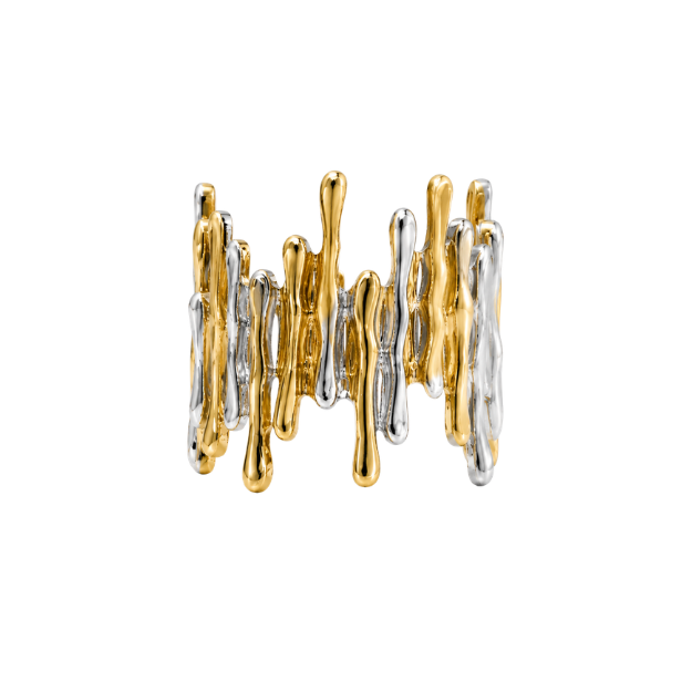 Anillo Vela